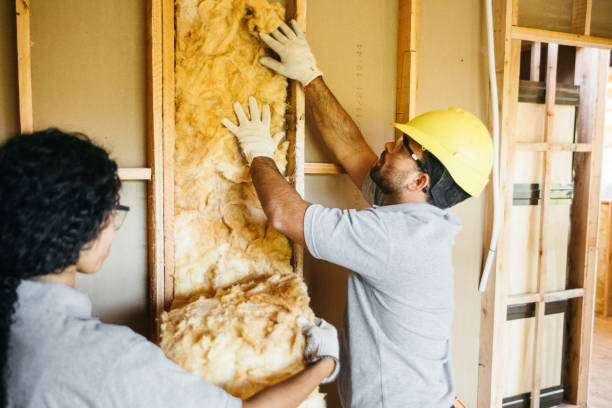 Insulation Contractors for Homes in Salmon, ID